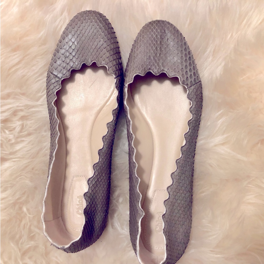 Chloe Lauren Scalloped Snakeskin Leather, size 7 1/2 Women’s Flats